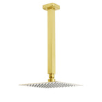 WELS Brushed Gold Square 8" Rain Shower Head 300mm Brass Ceiling Dropper Arm Set