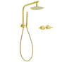 WELS Brushed Gold Round 2in1 Shower Head Set Diverter Wall Arm Stainless Steel Handheld + Taps