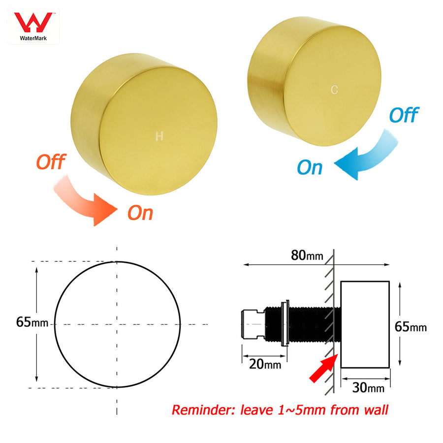 WELS Brushed Gold 2in1 Shower 8" Round Head Set 3 Mode Handheld Rose Sliding Rail Twin Taps