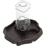Water Bowl for Reptiles with Bottle Geckos, Snakes Lizards, Dispenser Scorpions. Bowl for Tortoises, 2 in
