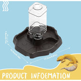 Water Bowl for Reptiles with Bottle Geckos, Snakes Lizards, Dispenser Scorpions. Bowl for Tortoises, 2 in - Side View