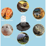 Water Bowl for Reptiles with Bottle Geckos, Snakes Lizards, Dispenser Scorpions. Bowl for Tortoises, 2 in