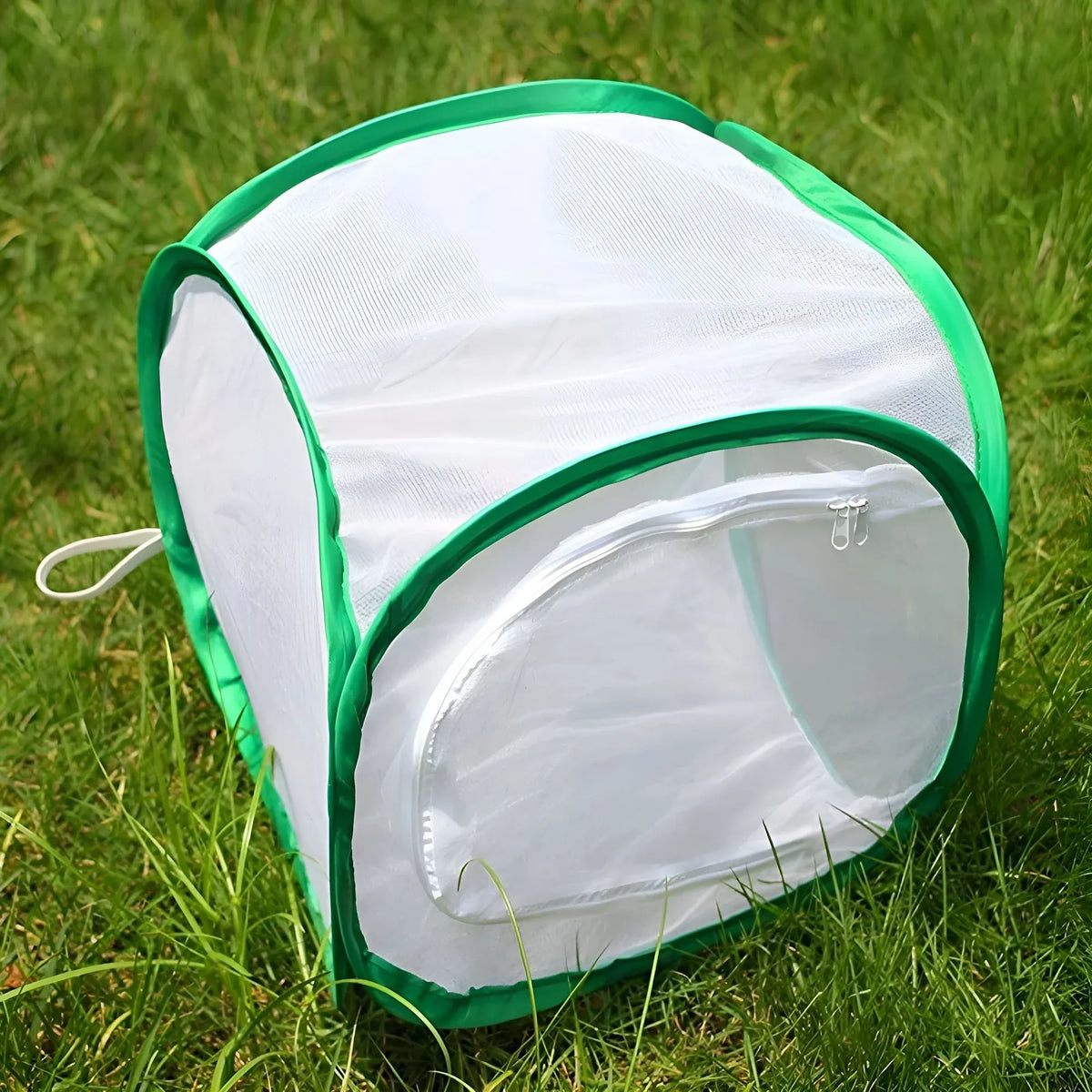 1 Pc Green Butterfly Kit With Live Caterpillars, Portable Foldable Insect Habitat Cage and Butterfly House