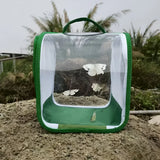1 Pc Green Butterfly Kit With Live Caterpillars, Portable Foldable Insect Habitat Cage and Butterfly House - 45-Degree Angle
