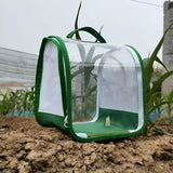 1 Pc Green Butterfly Kit With Live Caterpillars, Portable Foldable Insect Habitat Cage and Butterfly House