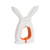 Clothes pegs - Drying pegs - Plastic clothes pegs - Non-slip clothes pegs for drying sheets and blankets, household use, sturdy and user-friendly clothes pegs - 2-pack