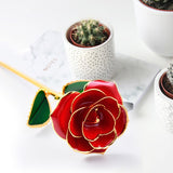24K Gold Plated Rose, Dried Flower Kit with Gift Box and Display Stand, Rose Red