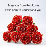 24K Gold Plated Rose, Dried Flower Kit with Gift Box and Display Stand, Rose Red - Top-Down View