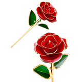 24K Gold Plated Rose, Dried Flower Kit with Gift Box and Display Stand, Rose Red