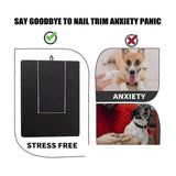 Dog Claw Training Board - File Trimmer Board, Trimming Board, Scratching Box, Sandpaper, Filing, Scraping - Top-Down View