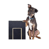 Dog Claw Training Board - File Trimmer Board, Trimming Board, Scratching Box, Sandpaper, Filing, Scraping - 45-Degree Angle
