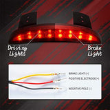 Motorcycle Mount XL883 1200 LED Tail Light Rear Black - Top-Down View