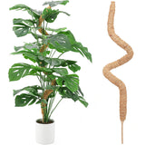 pcs Monstera moss rods for indoor plants, bendable plant holder - Front View