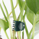 100pcs Orchid Clamps, Garden Plant Clamps for Supporting Orchid Plants - 45-Degree Angle