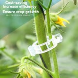 100/200/300pcs Plant Support Clips, Plant Clamps for Climbing Plants, Grafting Tools Upright Plant Growing Reusable (Green/White) Green Green 200pcs Green 200pcs
