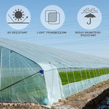 (Special Offer) 2x6m Polyethylene Greenhouse Film, Transparent, Extra Thick Garden Film for Foil Tunnels 10 m - Top-Down View