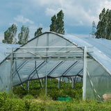 (Special Offer) 2x6m Polyethylene Greenhouse Film, Transparent, Extra Thick Garden Film for Foil Tunnels 10 m - 45-Degree Angle