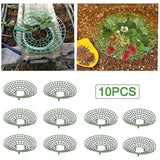 10 pcs Strawberry Plant Support Cages Climbing Rack Strawberry Rack Frame Holder Balcony Planting Rack Fruit Support Garden - Side View
