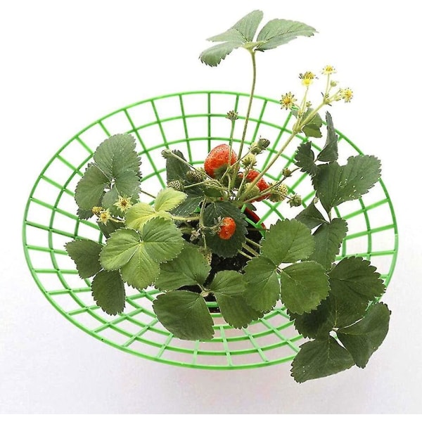 10 pcs Strawberry Plant Support Cages Climbing Rack Strawberry Rack Frame Holder Balcony Planting Rack Fruit Support Garden