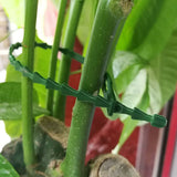 160 pcs Plant Ties Adjustable Garden Ties, Plant Ties and Supports, Helps Support Plants and Shrubs, Flexible Plastic Ties (3 Sizes) - 45-Degree Angle