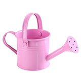 100% New, Mini Iron Watering Can, Spray Bottle, Metal Forging with Handle, Sprinkler Shower Pink - 45-Degree Angle
