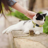 6X Adjustable Reflective Collars for Cats and Puppies with Bell and Safety Buckle, Cute Multicolor Pet Accessories - 45-Degree Angle