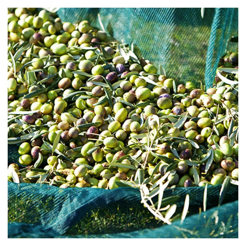 Olive Net Fruit Harvest Tool 4 x 4m - 16m²