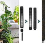 Moss stakes for climbing plants Black Variety