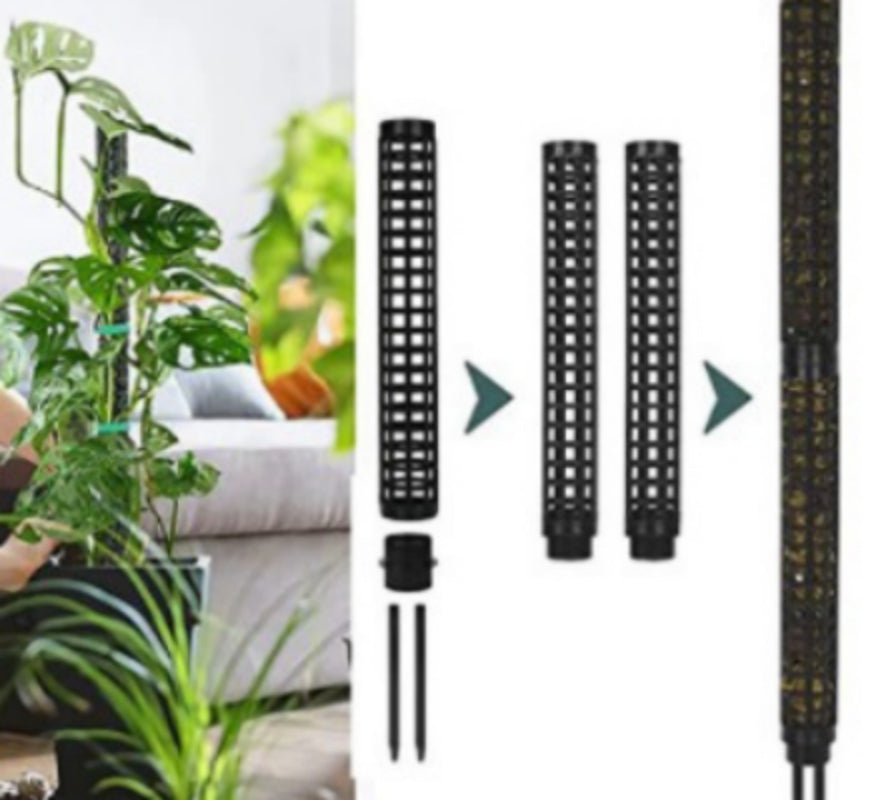 Moss stakes for climbing plants Black Variety, image 3