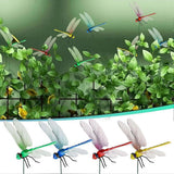 12pcs Artificial Dragonfly Clips for Outdoor Use 3D Dragonfly Decor Gardening, 3D Dragonfly Garden Decorative Clips [DB] As Shown - Top-Down View