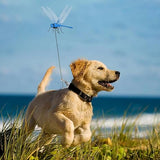12pcs Artificial Dragonfly Clips for Outdoor Use 3D Dragonfly Decor Gardening, 3D Dragonfly Garden Decorative Clips