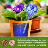 pcs Plant Watering Balls Self-Watering High Quality Glass - Side View