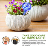 pcs Plant Watering Balls Self-Watering High Quality Glass - Top-Down View