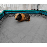 Burmat Guinea pig 60x120 cm 2-pack GINISWEETY - Front View