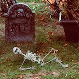 Halloween Skeleton Life Size, Full Body with Movable Joints, Human Legs, Scary Halloween Skeleton Decoration for Halloween Party, Haunted House Accessories - Top-Down View