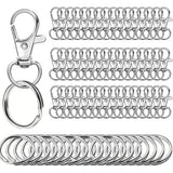 Small Stainless Steel Keychains, 100pcs Carabiner Keychains, DIY, DIY Ring, Button Lock, (Silver)