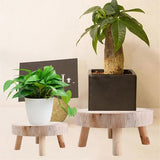 Mini Wooden Pallet Display Plant Stand Decorative Wooden Plant Pallet Bonsai Holder for Indoor Outdoor Home Garden C - Side View