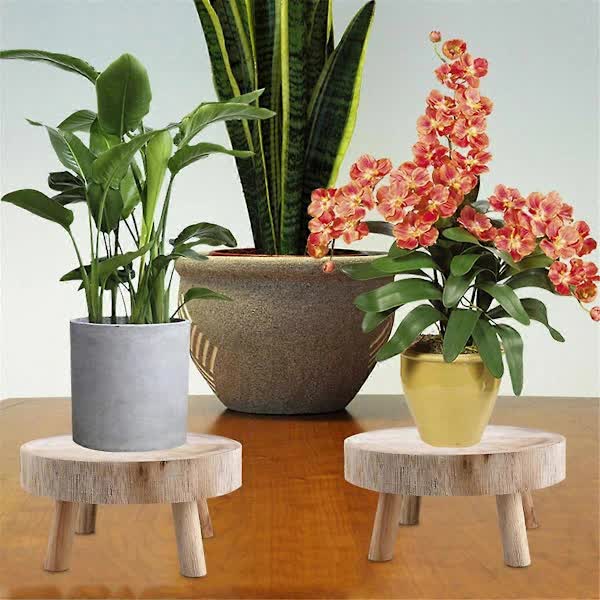 Mini Wooden Pallet Display Plant Stand Decorative Wooden Plant Pallet Bonsai Holder for Indoor Outdoor Home Garden C