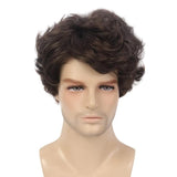 Short Black Men's Wig with Curly and Fluffy Wigs, Natural Synthetic Wigs for Men, Daily Party Wear for Men Brown 10 Inch - Side View