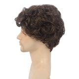 Short Black Men's Wig with Curly and Fluffy Wigs, Natural Synthetic Wigs for Men, Daily Party Wear for Men Brown 10 Inch