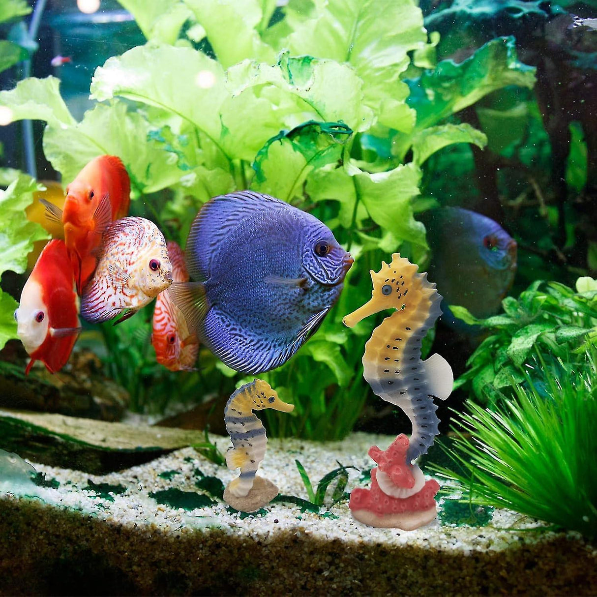 Aquarium Seahorse Decoration Resin Seahorse Statue Ornament Aquarium - 2 Pieces