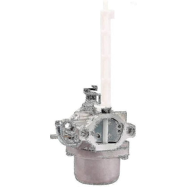 796122 Carburetor for Briggs & Stratton 793161 696737 794593 20e114 20m107 20m114 20c114 20m214 Series Ariens Mtd Cub Cadet Snowblower Snow Blower Tractor