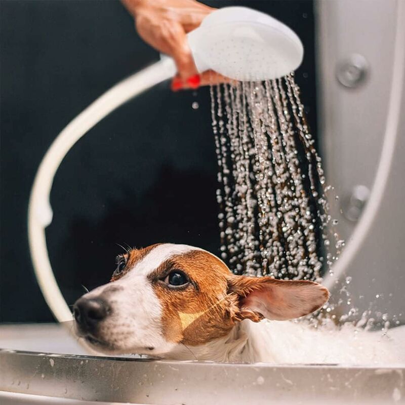 Single Shower Head for Bathroom Sink or Toilet Basin, Shower Hose, Quick Connect Single Shower Mixer, Shampoo for Children and Pets