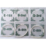 Nylon Strings Set for Musical Instruments, Transparent - Rear View