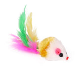 21 Piece Cat Toys, MultiColor - Perfect for Kittens and Cats - Top-Down View