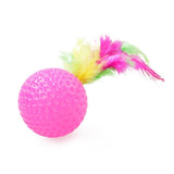 21 Piece Cat Toys, MultiColor - Perfect for Kittens and Cats - Extra Image
