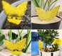 20 Pack Fly Trap, Cute and Effective Escape Flycatchers