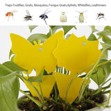 20 Pack Fly Trap, Cute and Effective Escape Flycatchers