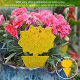 20 Pack Fly Trap, Cute and Effective Escape Flycatchers