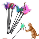 Cat Toy with Feathers and Bell